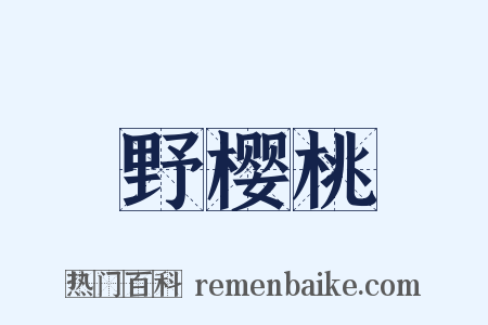 野樱桃是什么意思的图片